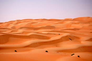 080405-Liwa-027