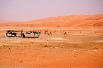 080405-Liwa-075
