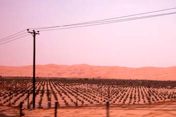 080405-Liwa-083