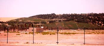 080405-Liwa-093