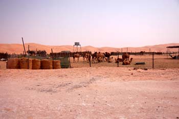 080405-Liwa-106