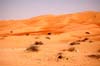 080405-Liwa-046