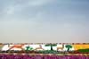 080405-Liwa-082