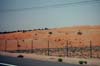 080405-Liwa-092